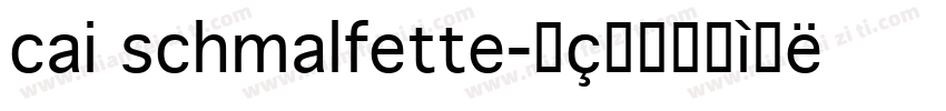 cai schmalfette字体转换